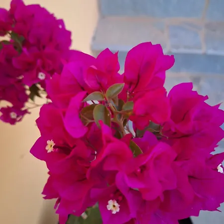 Nyaraló Casa Dei Fiori Sarakinádhon